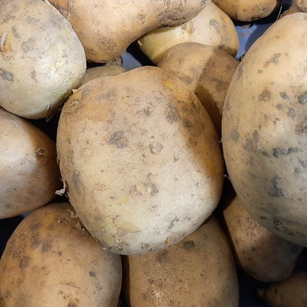 Aardappels (zak 5 kg) - Afbeelding 2